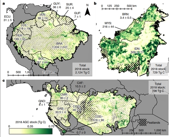 Tropical forest regeneration offsets 26% of carbon emissions due to deforestation and degradation