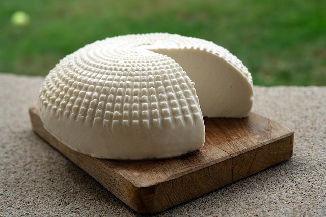 Grupo propõe protocolo de pesquisa para regularização de queijos artesanais