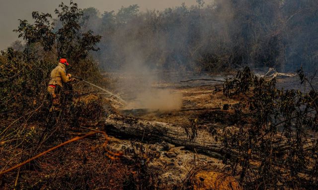 In 2020, 30% of the Pantanal was burned to cinders by wildfires