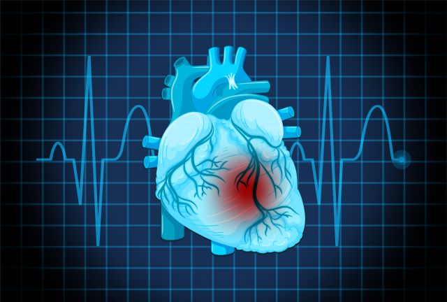 Molecule tested at University of São Paulo proves able to mitigate heart failure