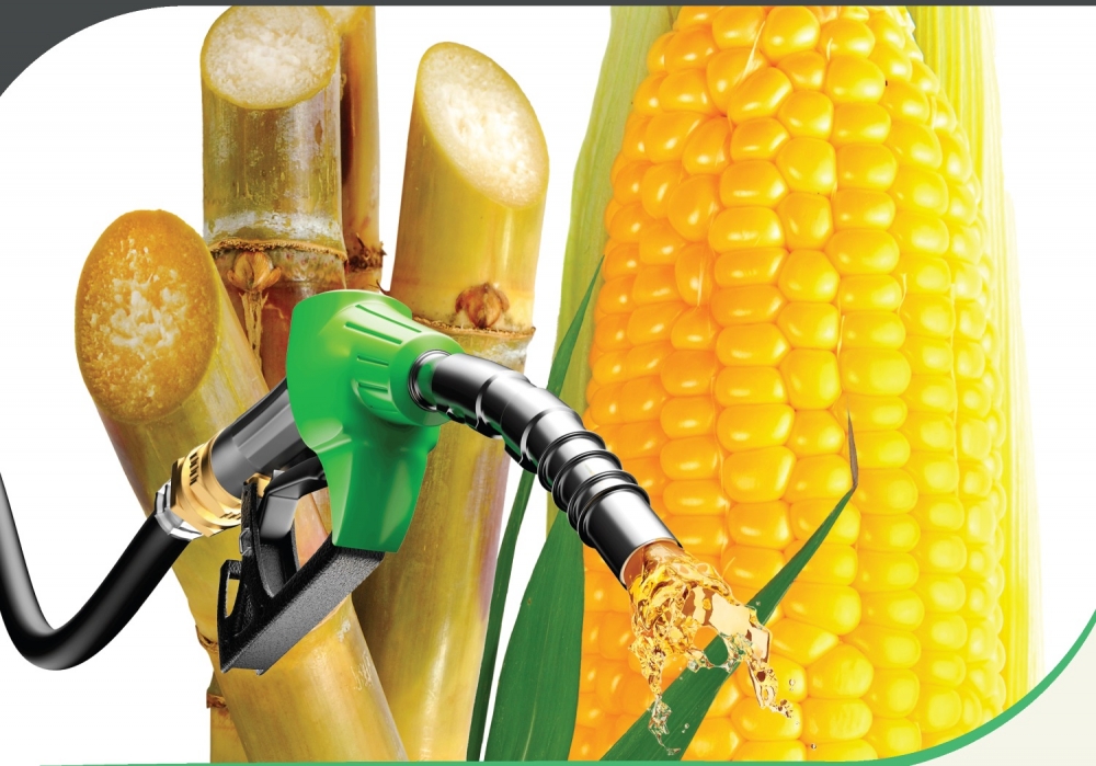 The crucial role of biofuels in the energy transition is explained in an encyclopedic new book