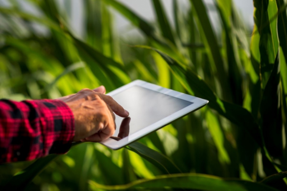 Climate intelligence platform supports decision-making by farmers and agroindustry