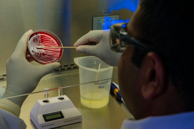 Centro de Pesquisa em Biologia de Bactérias e Bacteriófagos abre vaga de pós-doutorado
