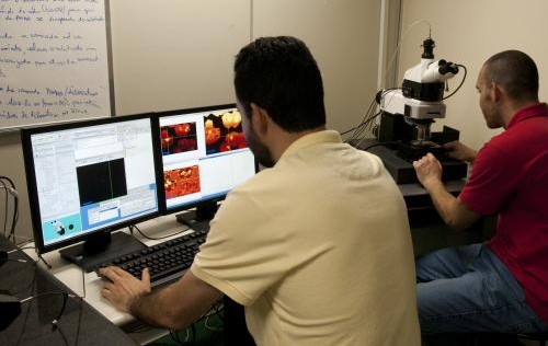 Treinamento técnico em espectroscopia Raman de tecidos biológicos no Ipen