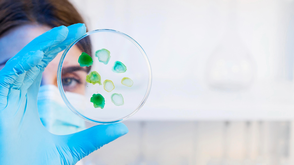 Centro de Pesquisa em Biologia de Bactérias e Bacteriófagos abre vaga de pós-doutorado