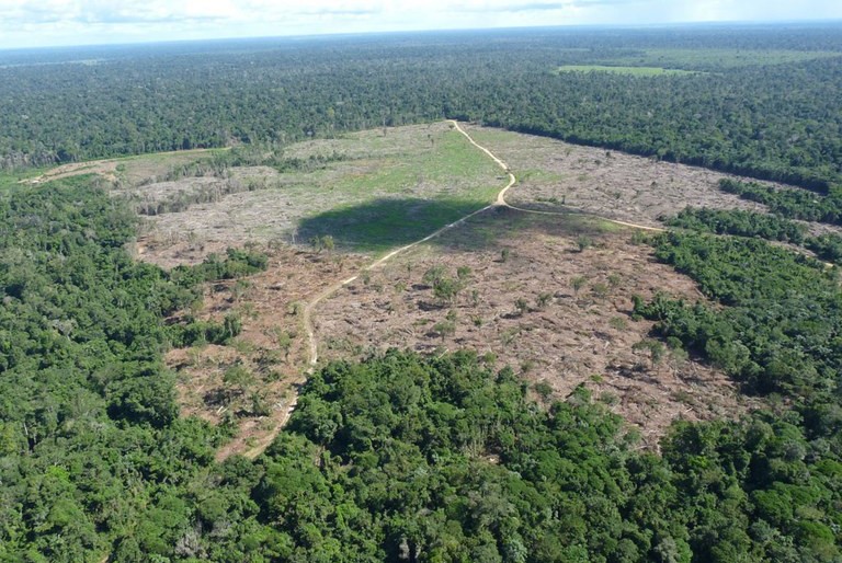 Desmatamento da Amazônia é ainda mais impactado por demandas do centro-sul do que pelas exportações
