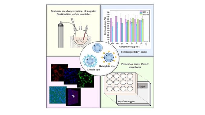 Estudo avalia o uso de nanotubos magnéticos de carbono em aplicações biomédicas