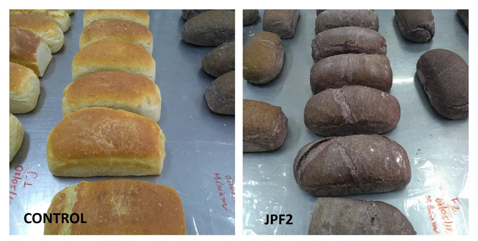 Jabuticaba peel improves nutritional characteristics of bread