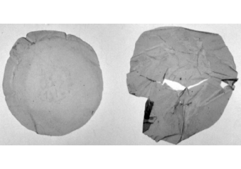 Pesquisadores brasileiros encontram bactéria capaz de transformar lixo plástico em bioplástico