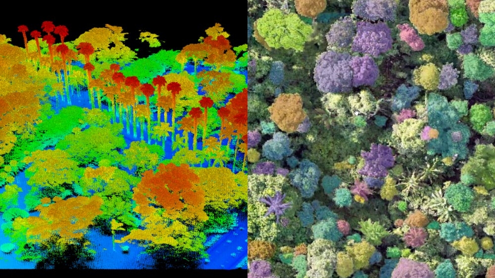 Drones speed up execution of forest inventories