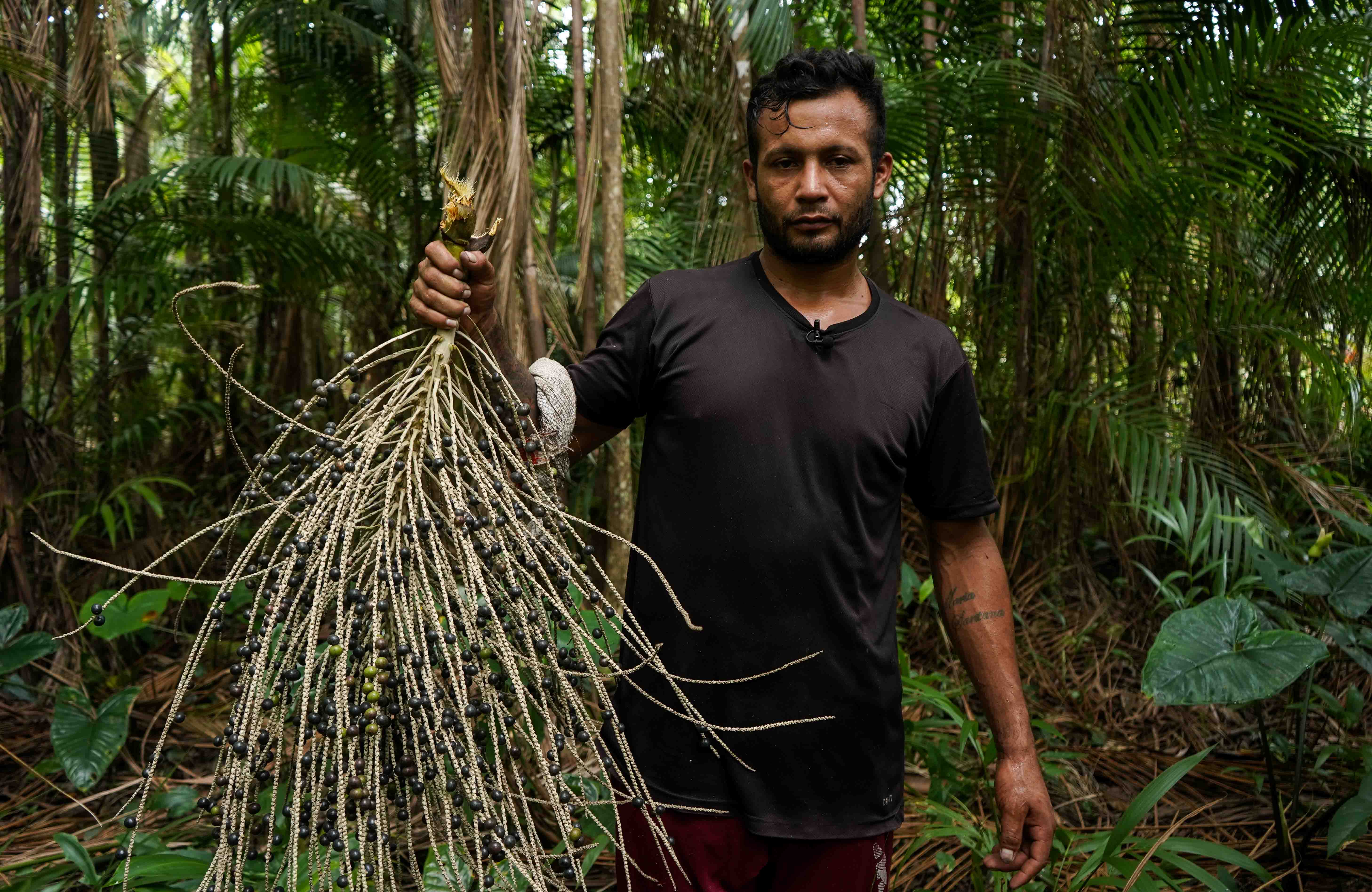 Center aims to improve quality of life in the Amazon with digital technologies for the açaí and honey chains