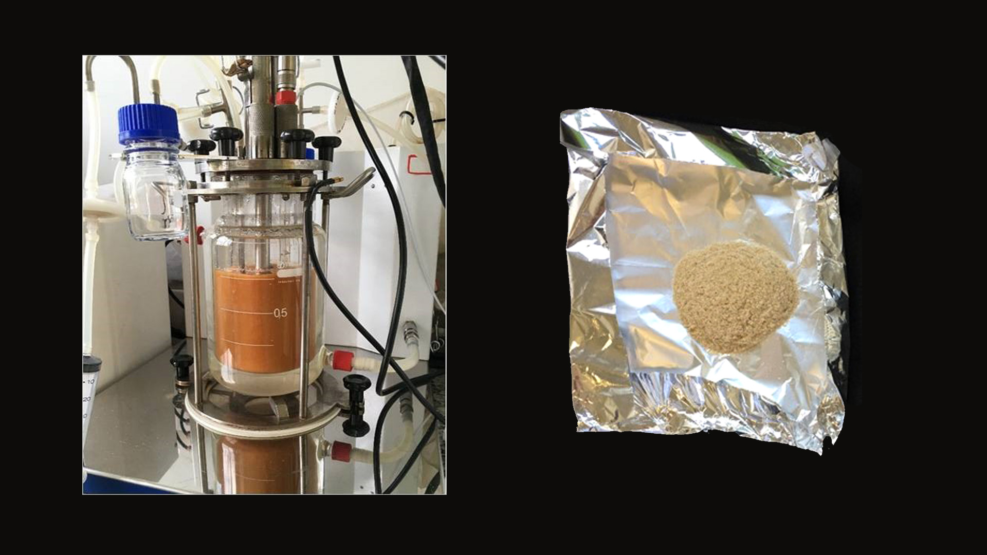 Chitosan, a natural antimicrobial, has the potential to replace sulfuric acid in ethanol production