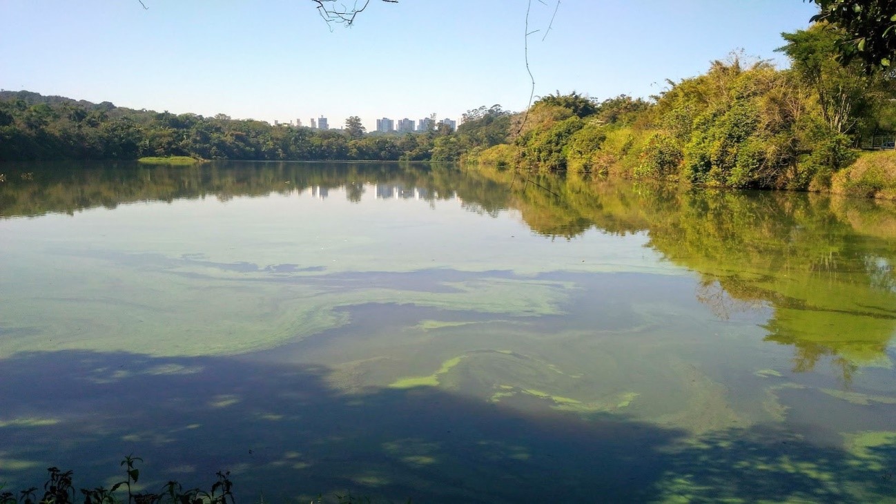 Study reconstructs a century of pollution in the city of São Paulo (Brazil) using aquatic sediments