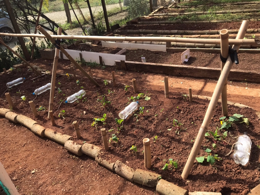 São Paulo startup bets on regenerative agriculture