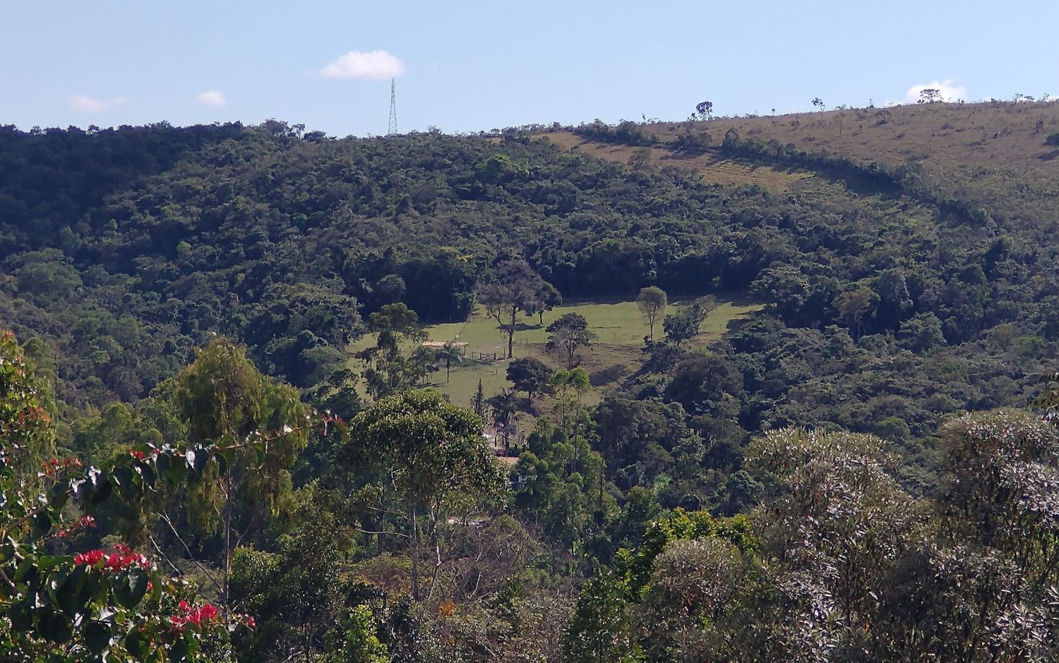 Ferramenta identifica áreas ecologicamente equivalentes para orientar projetos de restauração