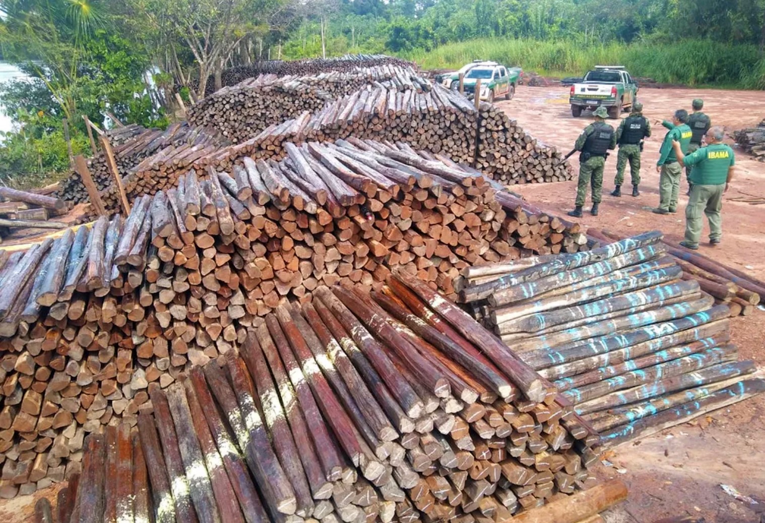 Article proposes method to reduce illegal logging in Brazil