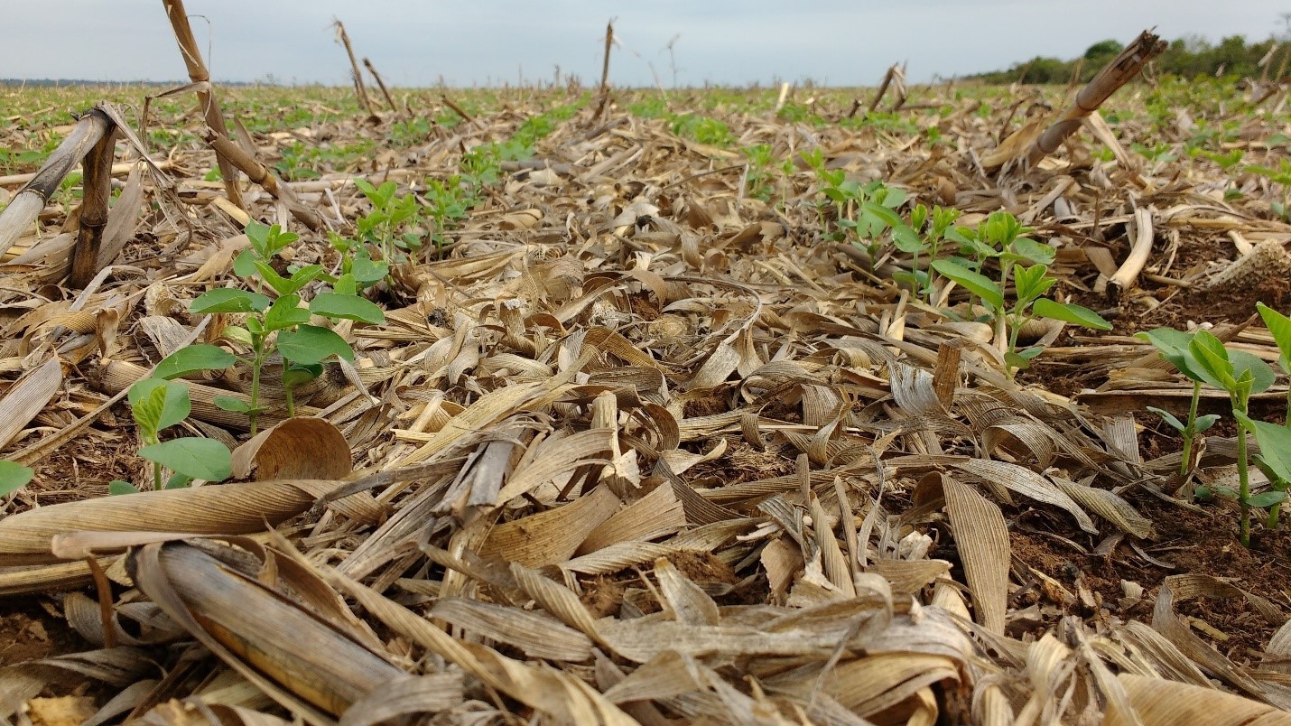 Study assesses how sustainable agricultural management practices in the Americas help sequester CO2