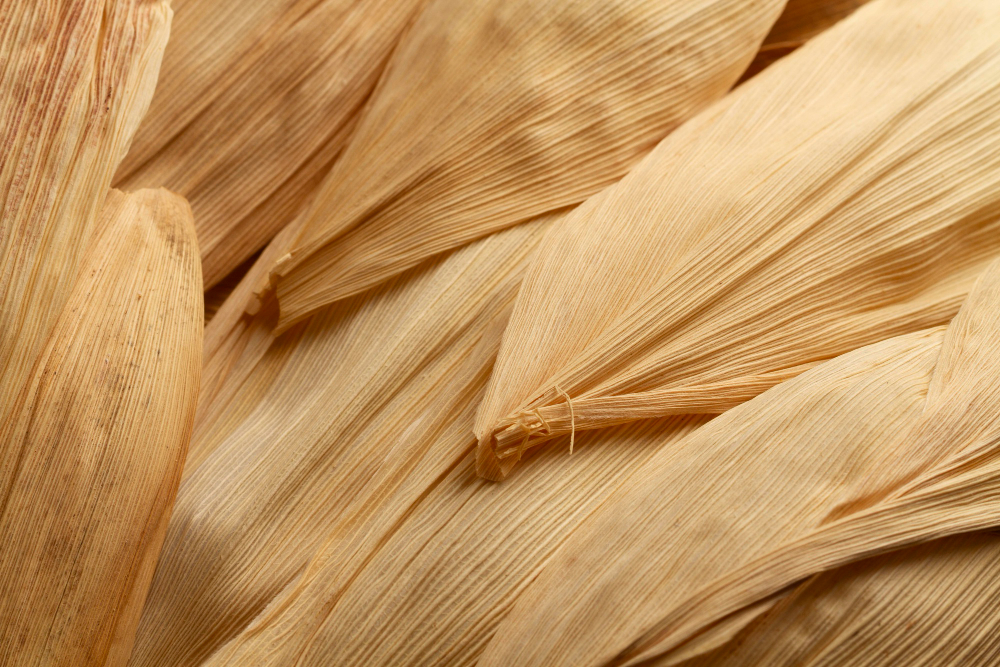 Green technology uses corn stover to produce high-value bioderivatives and generate savings