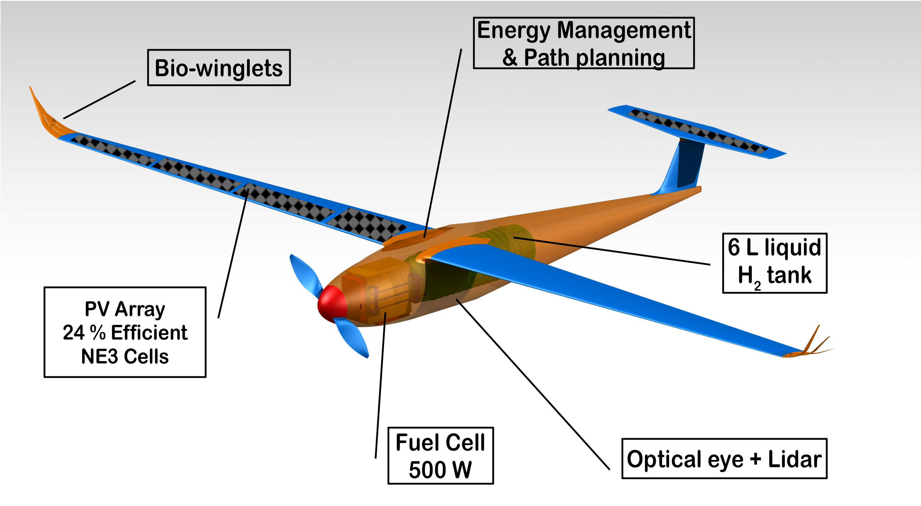 Albatross-Inspired Electric Drone Aims to Cross the South Atlantic