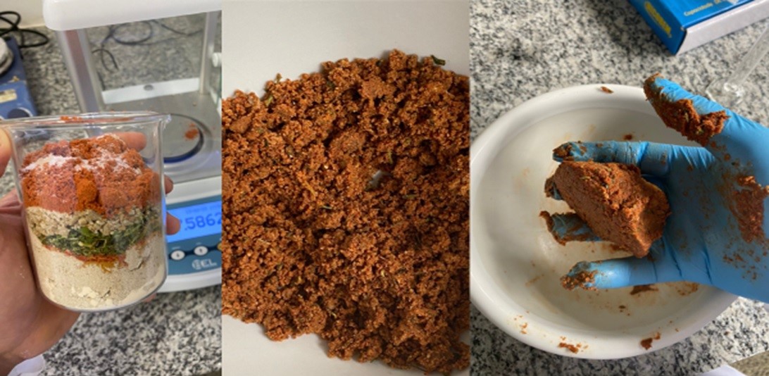 Researchers develop ‘vegan meat’ based on sunflower flour