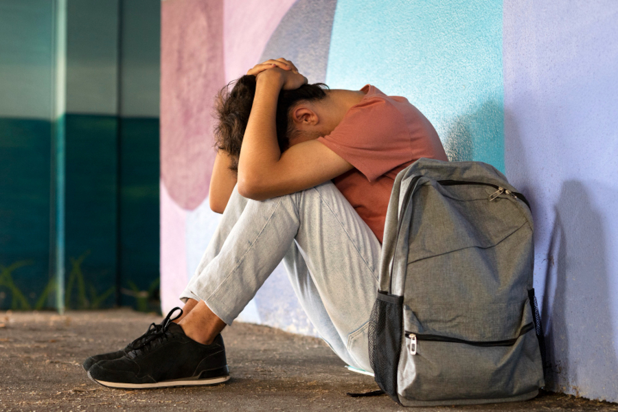 Arranjo familiar, <i>bullying</i> e dificuldade de fazer amigos impactam a saúde mental dos adolescentes
