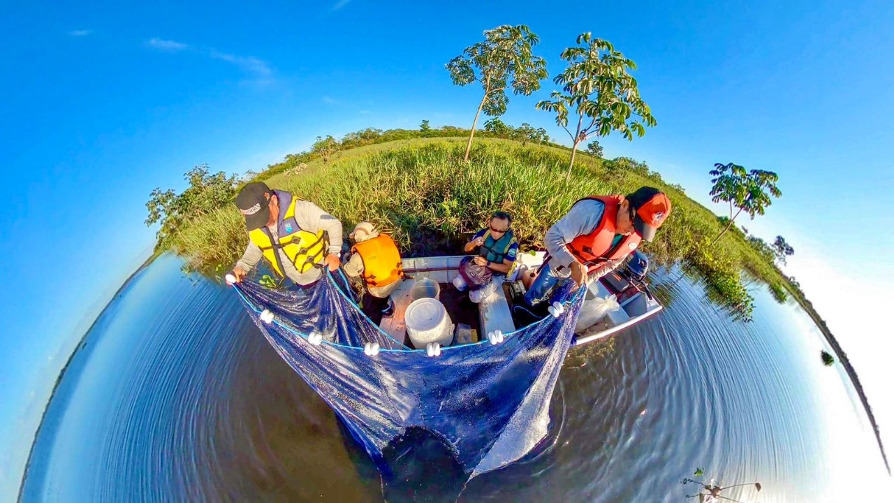 Loss of natural areas and introduction of exotic species reduces fishing yields in the Paraná River in Brazil