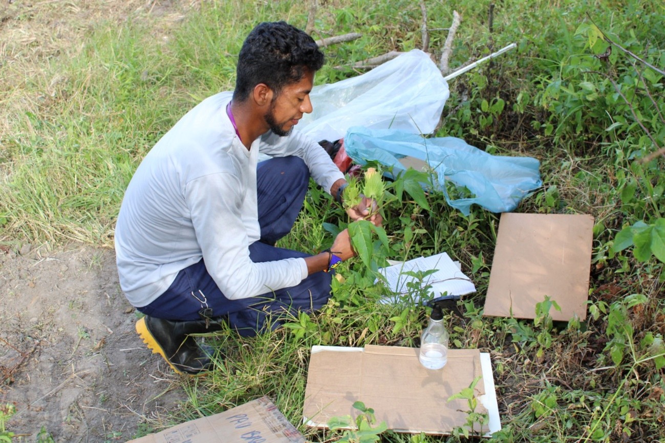Indigenous researcher revives traditional medical practices of his people