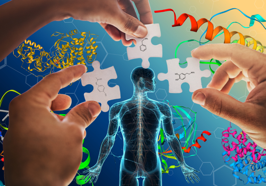 Projeto global busca moduladores para todas as proteínas humanas até 2035