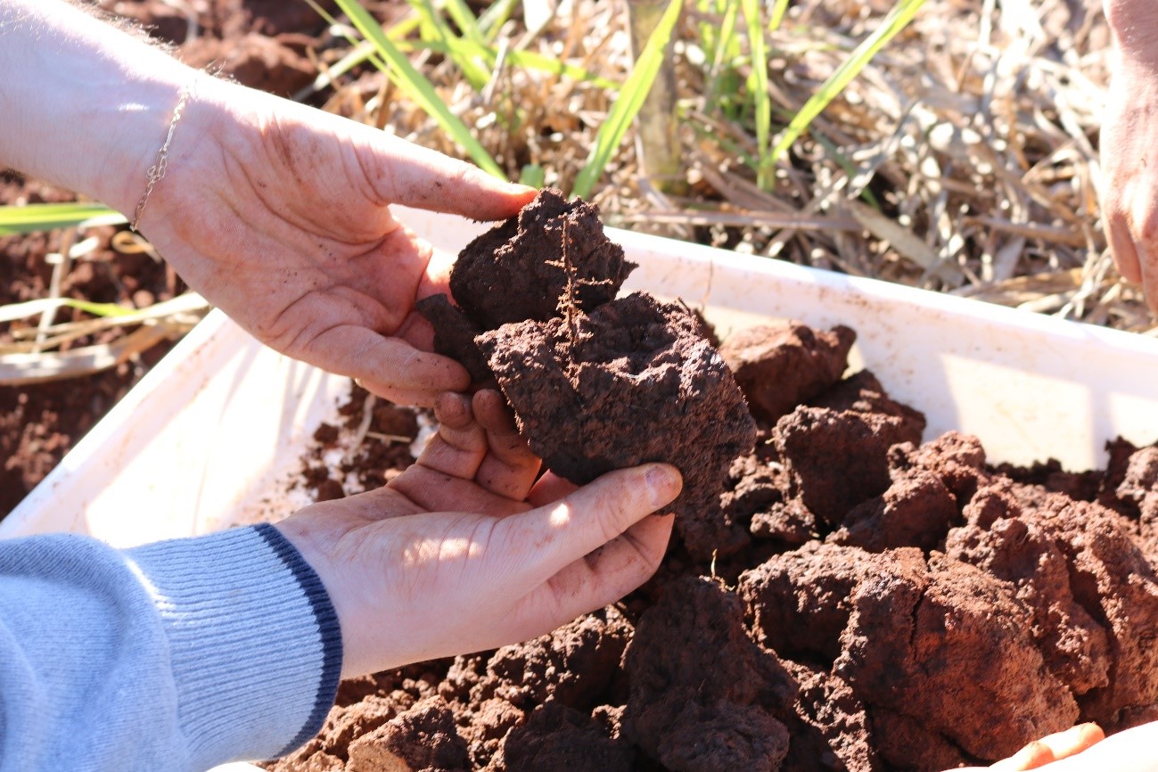 Article presents the first soil health map of Latin America and the Caribbean