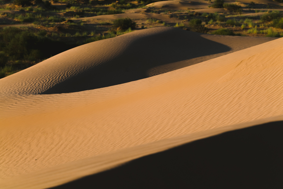 Technique allows estimation of the force acting on each grain of sand in a dune