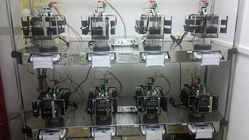 New standard for studies measuring energy expenditure improves obesity treatment