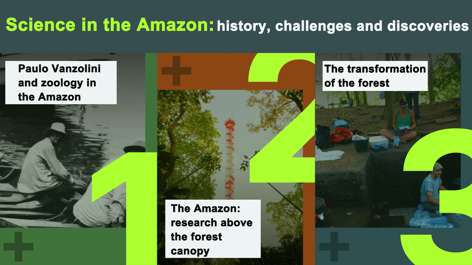 FAPESP Memory Center launches virtual exhibition ‘Science in the Amazon: history, challenges, and discoveries’