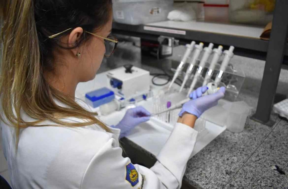 Brazilian startup creates therapeutic vaccine to combat neglected disease