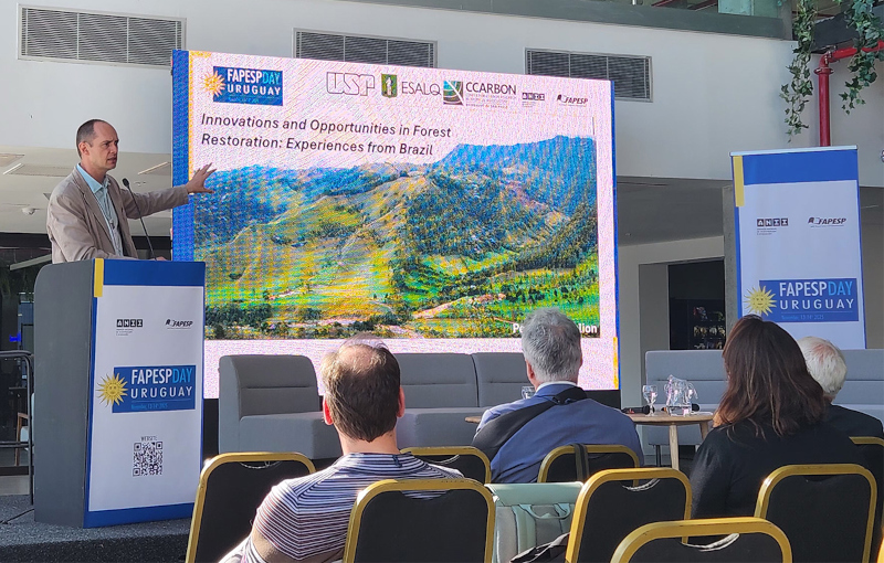 Brasil pode ser o grande poço negativo de carbono do mundo, afirma pesquisador