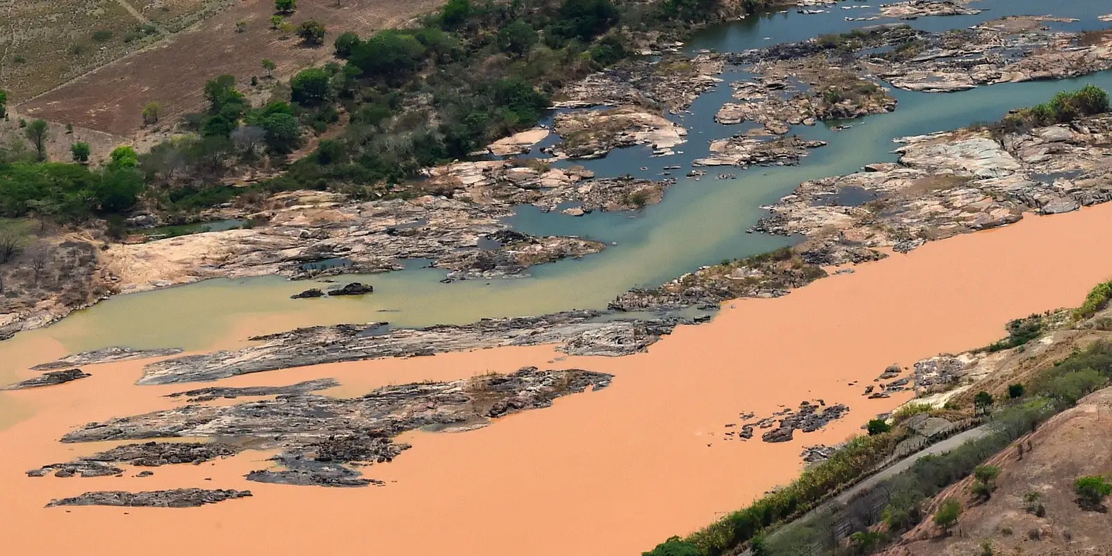 Four years after the Mariana mining disaster in Brazil, river fish remained contaminated