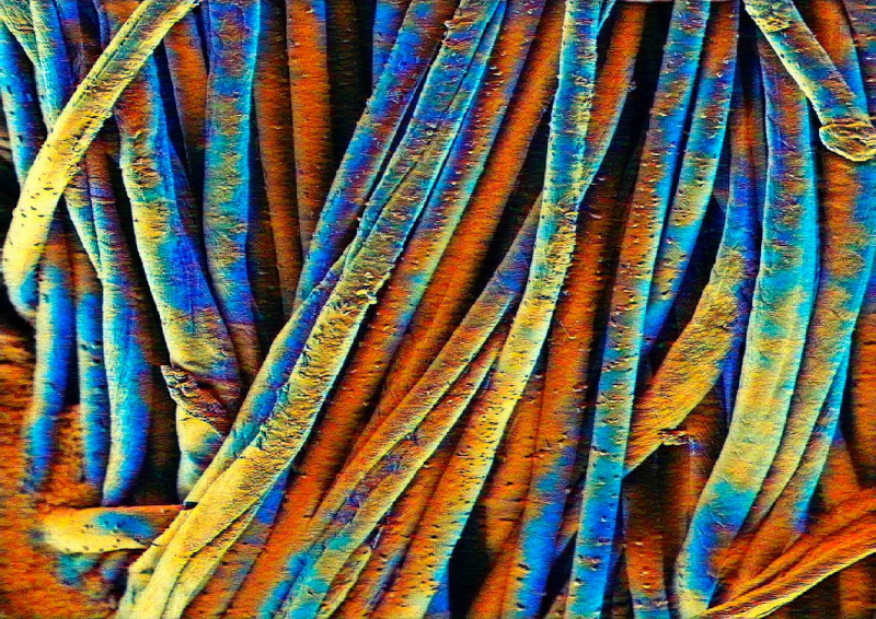 Artista do CDMF representa o Brasil no Festival Internacional de Nanoarte no Japão