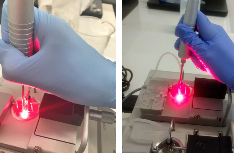 Animal study indicates that laser helps combat hypertension triggered by menopause