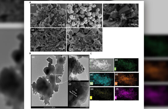 Pesquisa avança na área de materiais porosos, destaque no Nobel de Química 2025