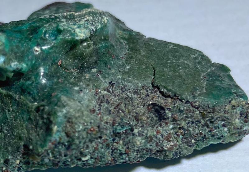 Green turtle nests may bury ‘plastic rocks’ and endanger the species