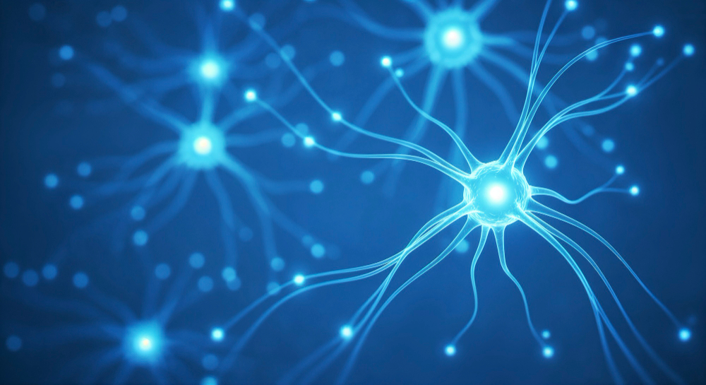 Pesquisadores identificam ‘assinatura neuroimune’ que pode prever complicações da hepatite