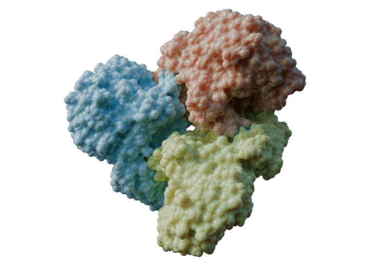 Cientistas descobrem ‘interruptor’ molecular que controla a digestão de carboidratos