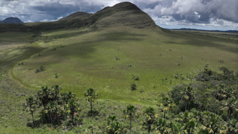 Pesquisa mostra que áreas úmidas do Cerrado armazenam mais carbono do que florestas na Amazônia