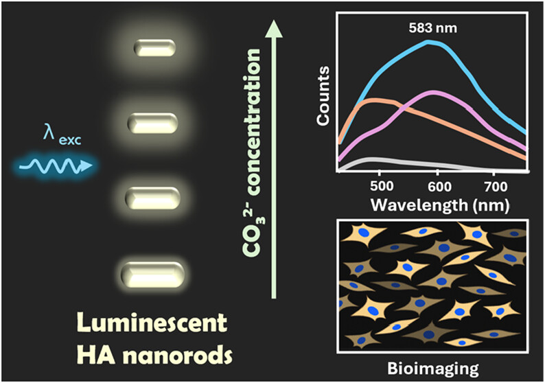 Researchers make breakthrough in biomedical imaging and cancer treatment
