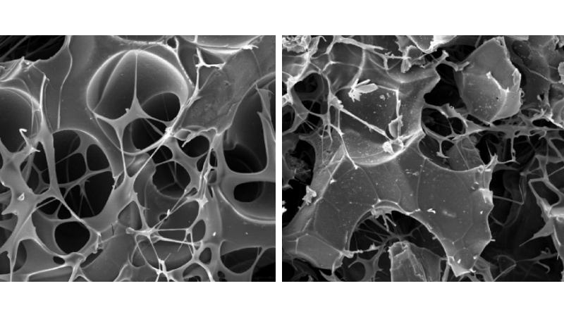 Graphene ‘scaffold’ recruits bone cells and helps the body regenerate fractures