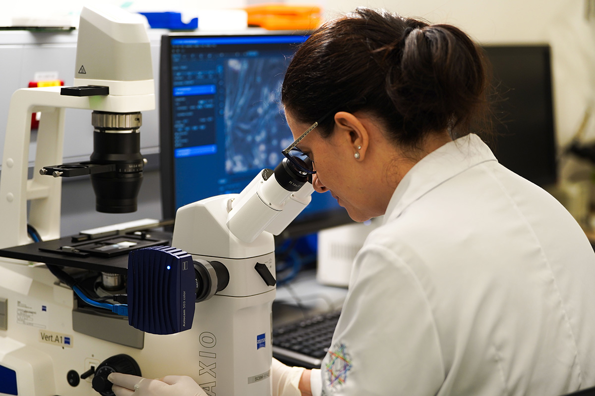 FAPESP defines seven strategic research priorities for the 2026-2028 period