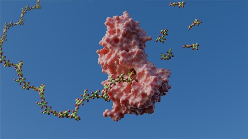 Mecanismo de enzimas abre caminho para tecnologias mais eficientes em bioenergia