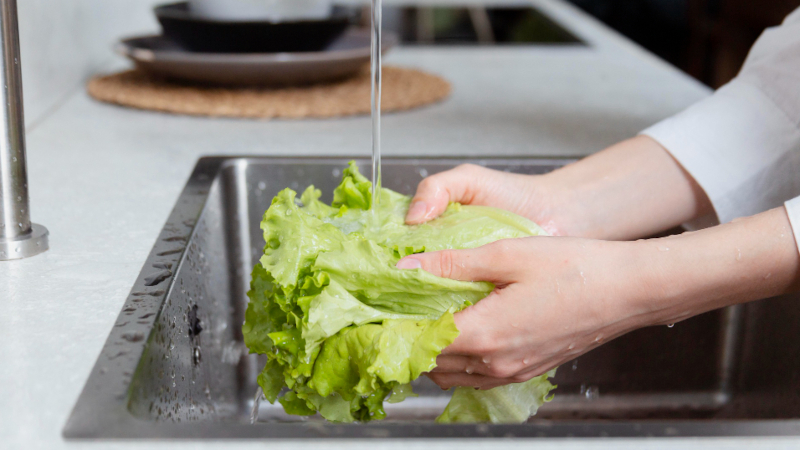 Poor hygiene and food handling practices increase the risk of bacterial outbreaks in Brazilian households