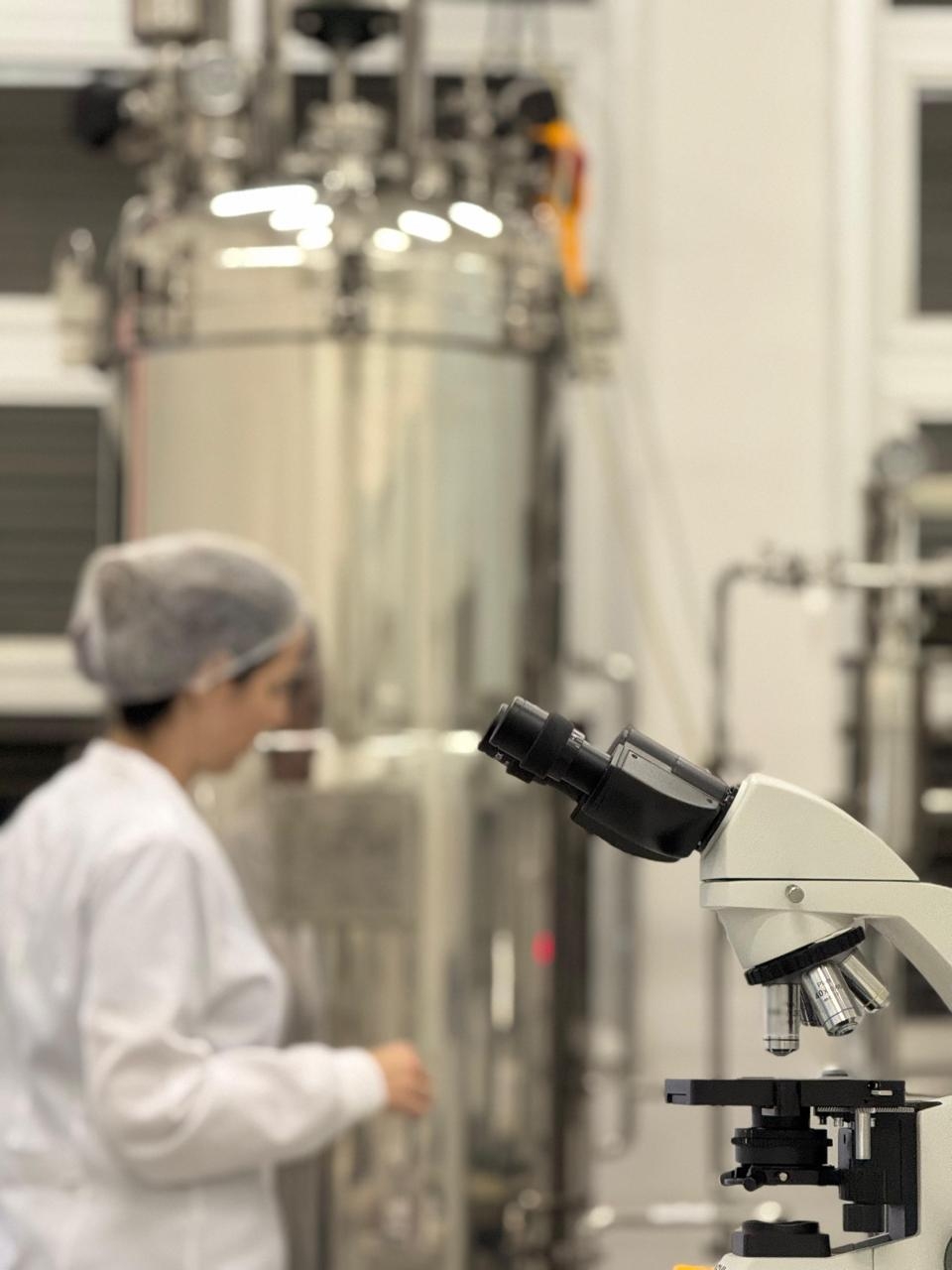 Levadura nacional puede reducir el costo de la cerveza artesanal en Brasil