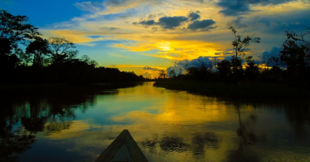 Researchers map initiatives in the Amazon that inspire the future of innovation