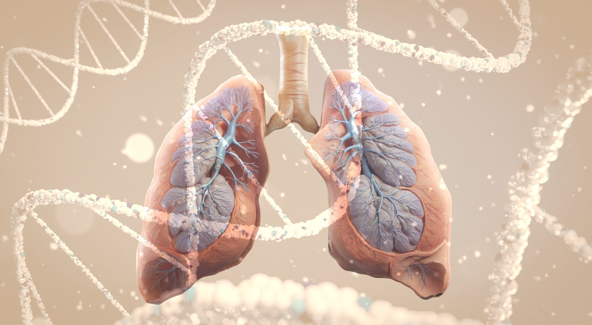 Study shows that mutations in the <i>TP53</i> gene affect the response to lung cancer treatment